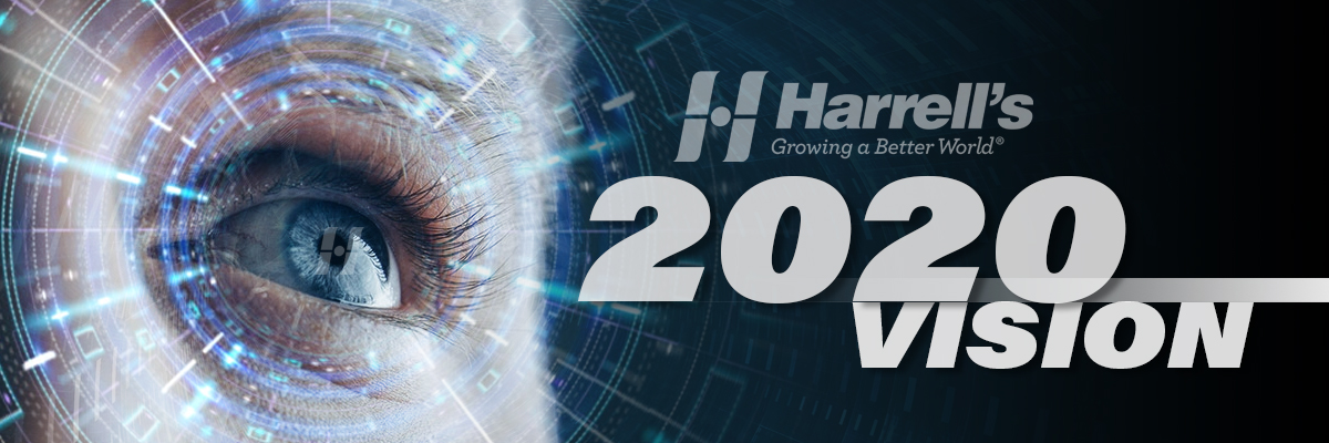 2020 vision